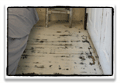 timeless whitewashed mahogany floors